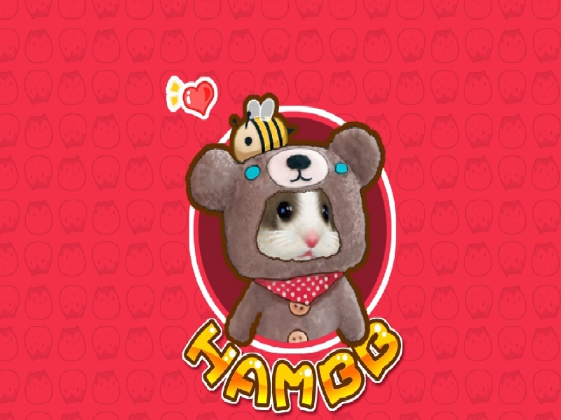 国外les试管费用（子宫镜手术费用）